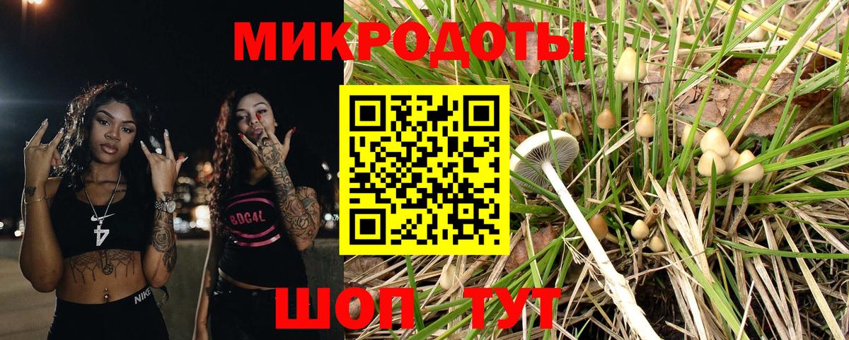 Артём  где можно купить   Вход с VPN  Галлюциногенные грибы мицелий 